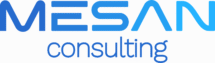 mesanconsulting.com